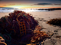Beach Net