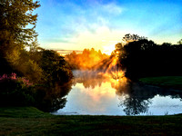 Dawn at the Pond